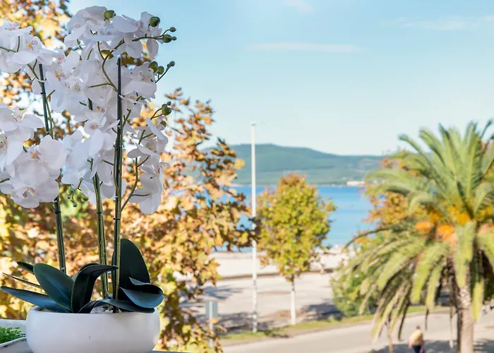 Apartment Sole & Mare - Terrazza Fronte Mare